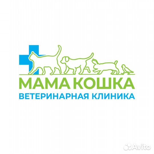 Ветеринарный врач