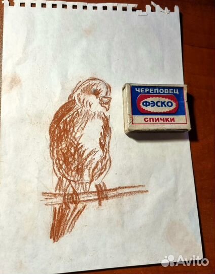 Эскиз рисунок