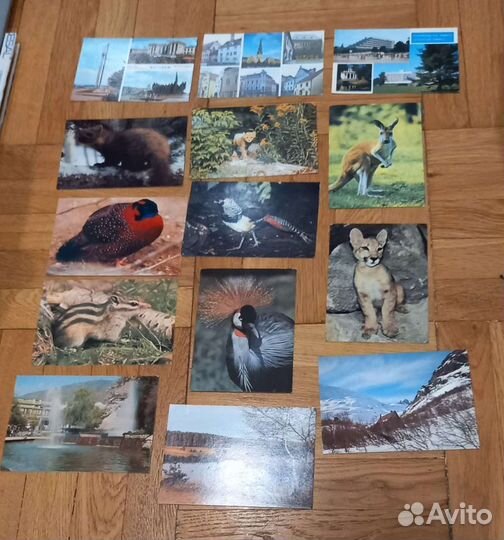 Открытки СССР чистые