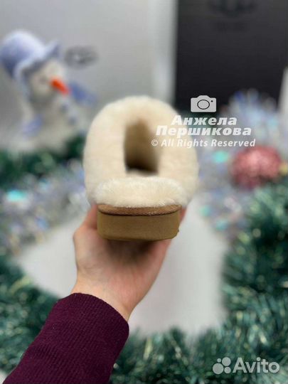 Тапочки Ugg Slippers Scufette Chestnut