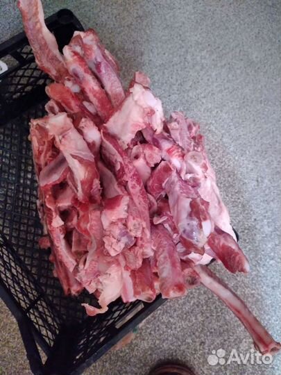 Клетку для попугая. Пшено хлеб и др корм животных