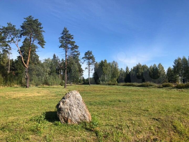 Участок 2 га (ИЖС)