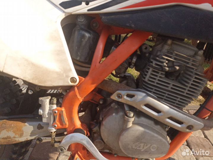 Kayo K4 MX