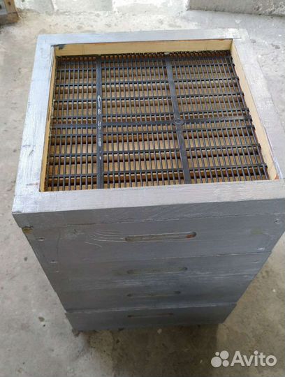 Улей нуклеус