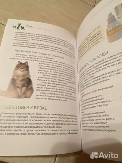 Брошюры Кошки Собаки