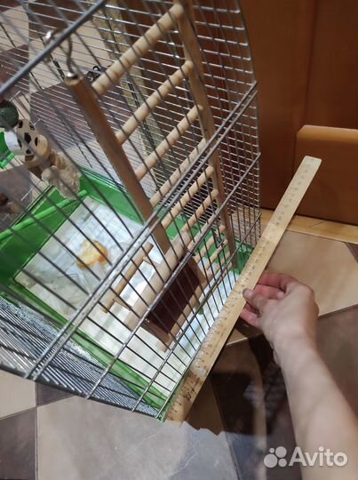 Клетка для крупного попугая
