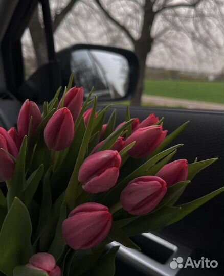 Тюльпаны на праздники оптом