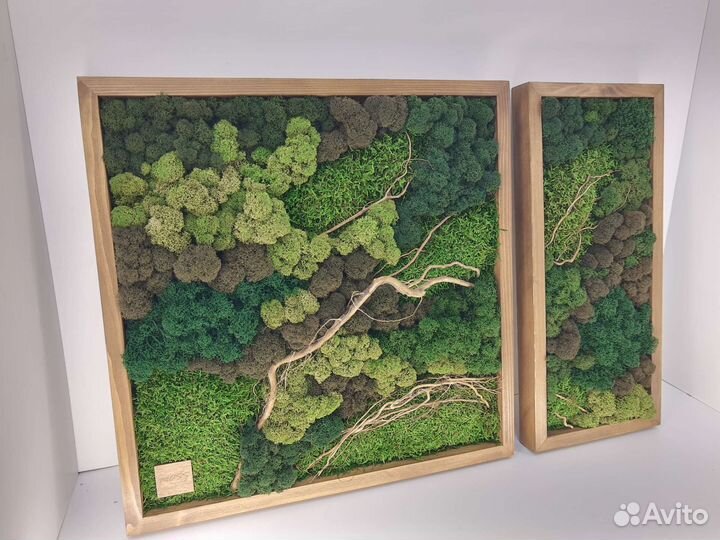 Картина из мха Стабилизированный мох
