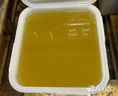 Мёд свежий оптом. донниковый, качка 2023г