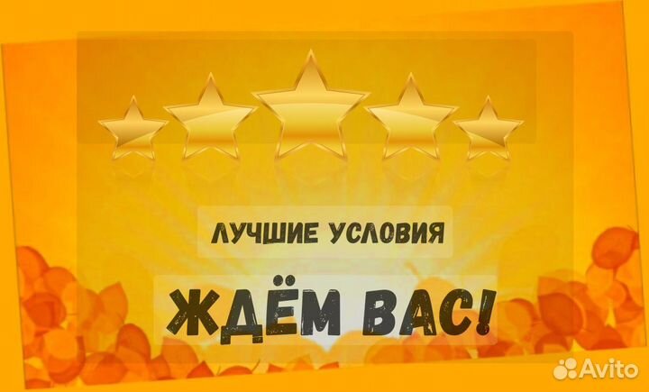 Штабилёрщик Вахта Питание+Ежедневные Выплаты