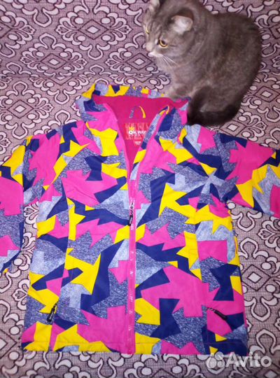 Демисезонный костюм