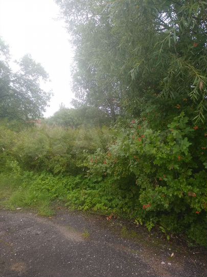 Участок 36 сот. (ИЖС)