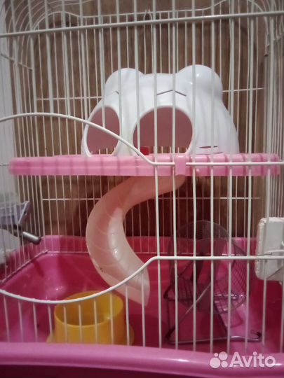 Клетка для грызунов (+корм, + аксессуары)