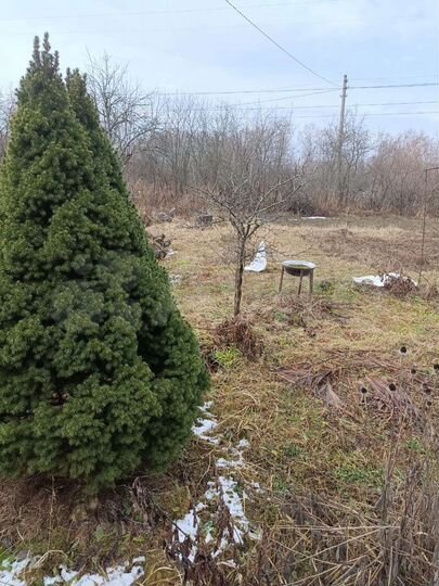 Дача 15 м² на участке 11,5 сот.