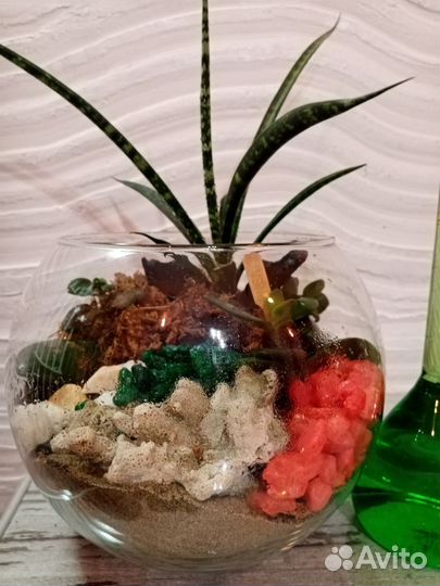 Флорариумы