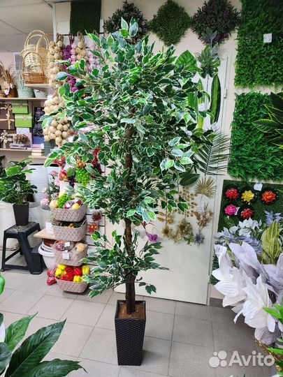 Искусственное дерево, фикус декоративный