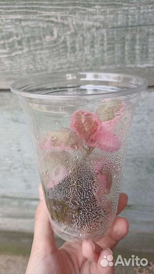 Эписция акварельная