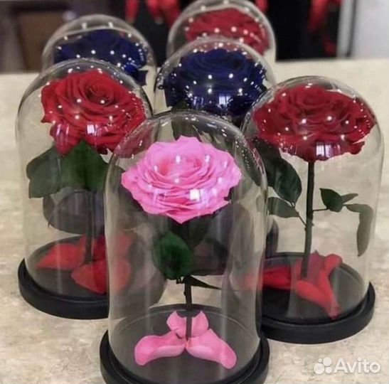 Розы в колбе разные