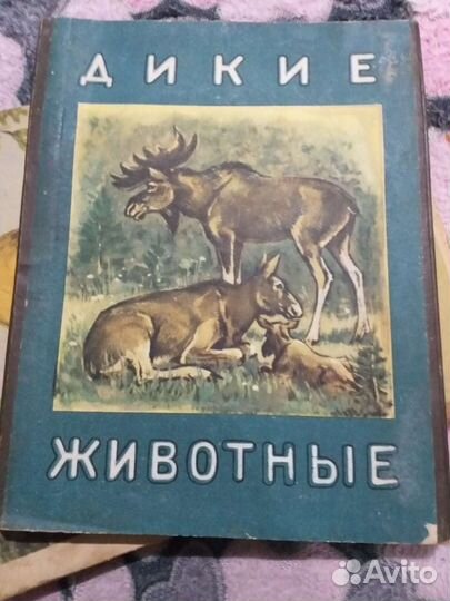 Старинные детские книги