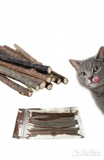 Кошачья мята