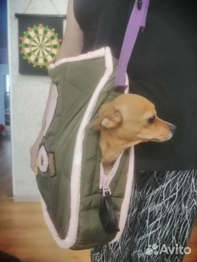 Сумка переноска для собак