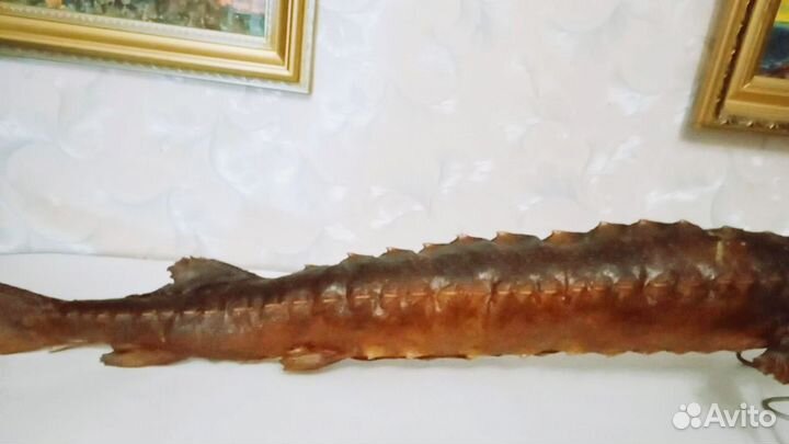 Чучело рыбы