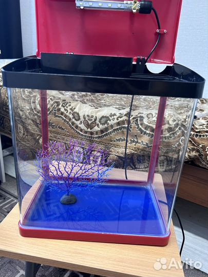 Аквариум 15 литров