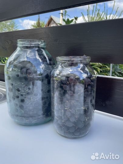 Йошта ягоды,крыжовник, кабачки