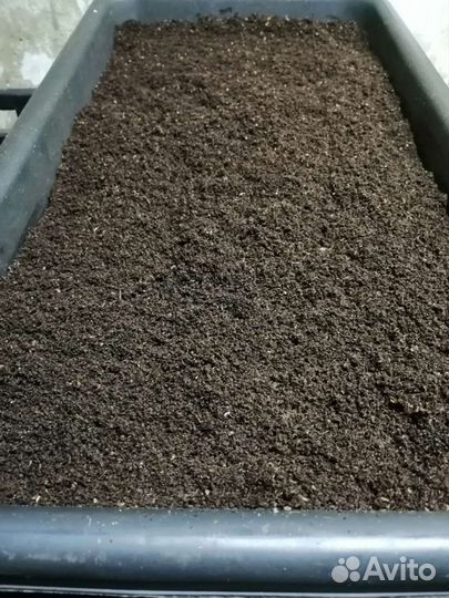 Биогумус (вермикомпост)