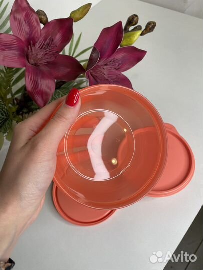 Хит-парад малый Tupperware 300мл