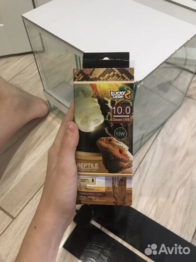 Террариум для рептилий