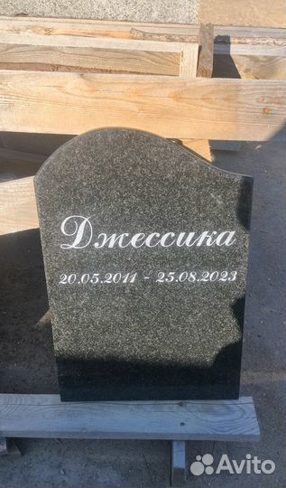 Памятник собаке, кошке и другим животным в Твери