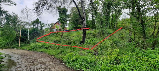 Участок 5,1 сот. (СНТ, ДНП)