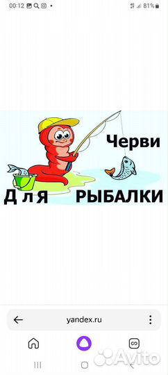 Охота и рыбалка