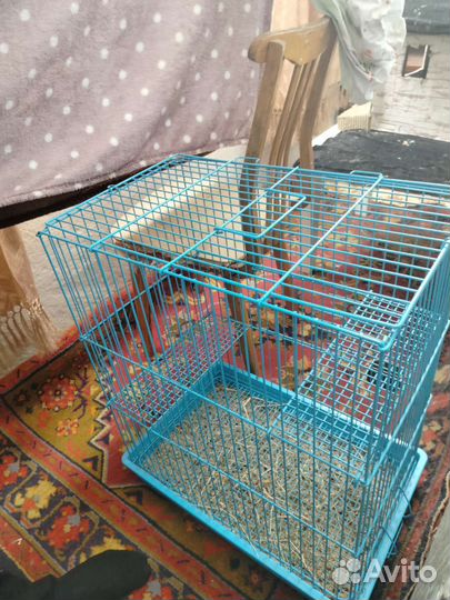 Клетка для грызунов бу