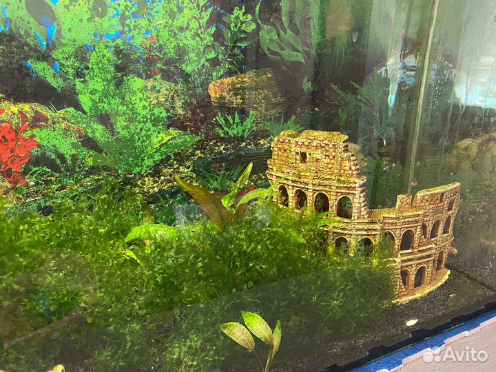 Аквариум 120литров с рыбками