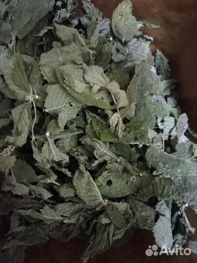 Сушеные лист смородины,крапивы, малины, ромашки