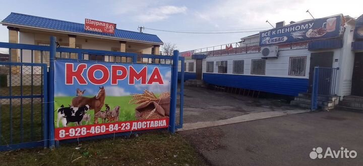 Южная корона Бройлеры