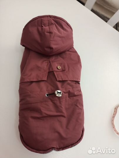 Одежда и обувь для собак