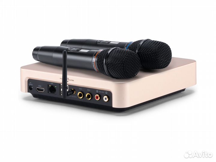 Караоке система с комплектом Evobox VIP plus