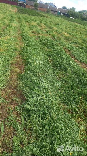 Сено солома в тюках,укос 2023г