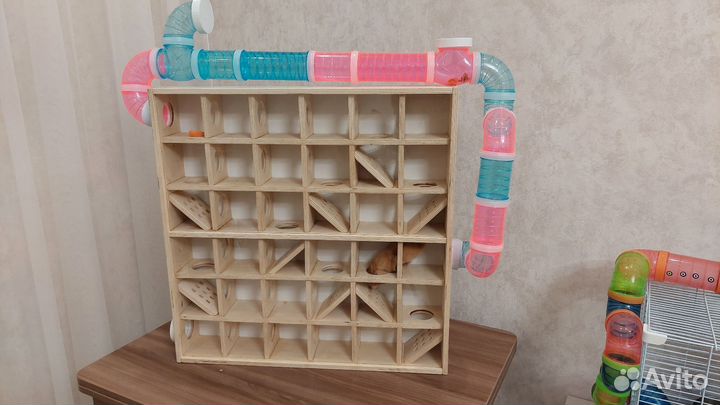 Огромный лабиринт для хомяка