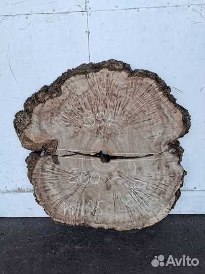 Спилы орех дуб карагач клен