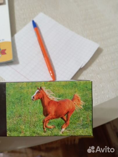 Подкормка для лошади