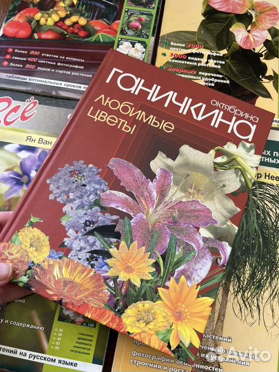 Книга о комнатных растениях