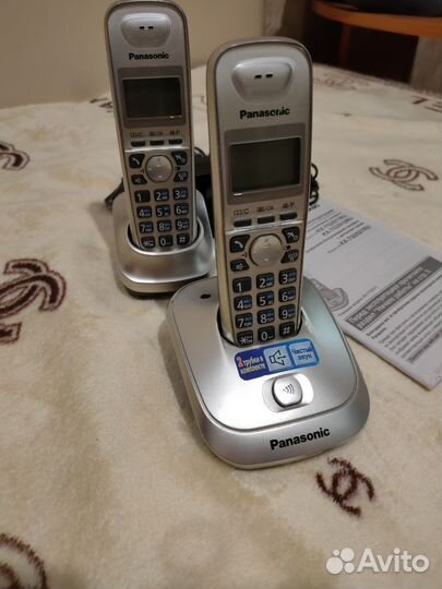 Panasonic