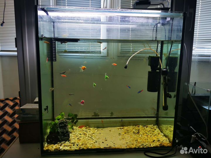 Аквариум с рыбками 108л