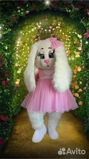 Организатор мероприятий