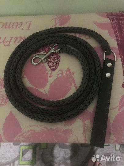 Ошейник и поводок