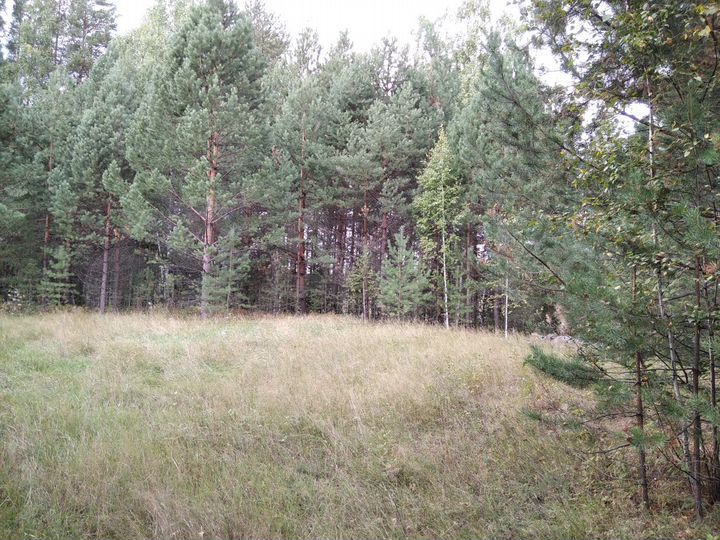 Участок 9,03 га (ИЖС)